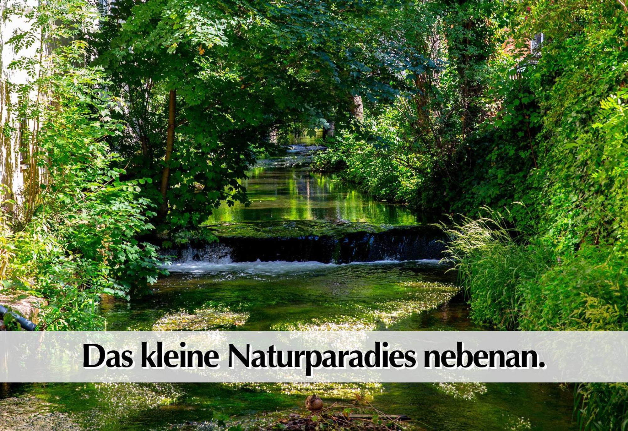 Stadtperle Am Plaetschernden Wasser - 50M2 2R Malerische Fewo In Top Lage 埃尔福特 外观 照片
